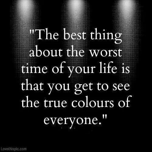 IMG_138116933299550.jpeg image