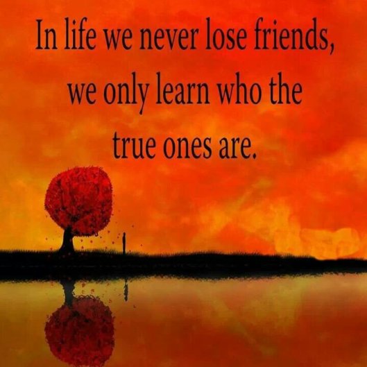 IMG_141275878147889.jpeg image