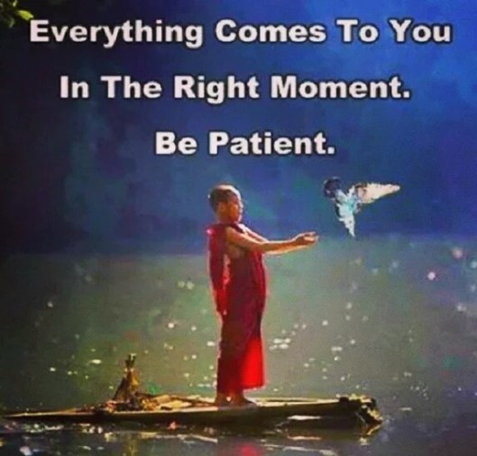 wp-1454220070735 image