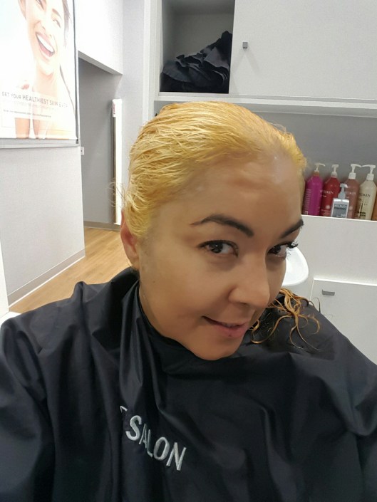 wp-1456495571660 image