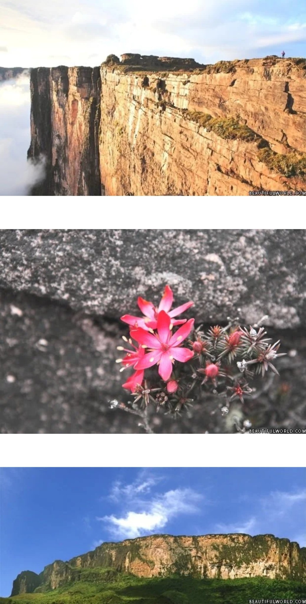 See One Of God’s Wonders – Mount Roraima In Venezuela | Leila World Blog